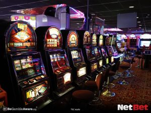 pulseirapg - Slot Bet Oficial